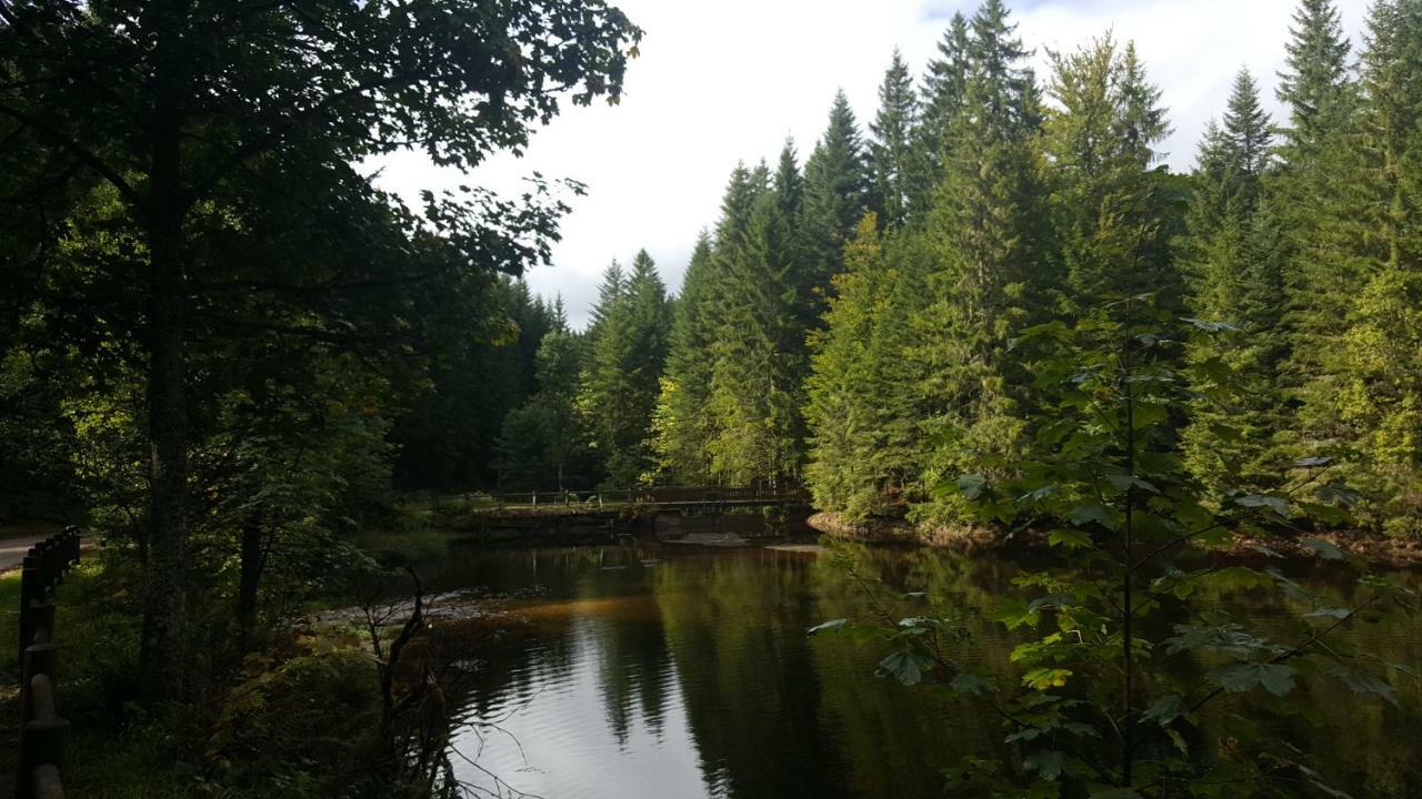 Gite Noa Xonrupt-Longemer Esterno foto