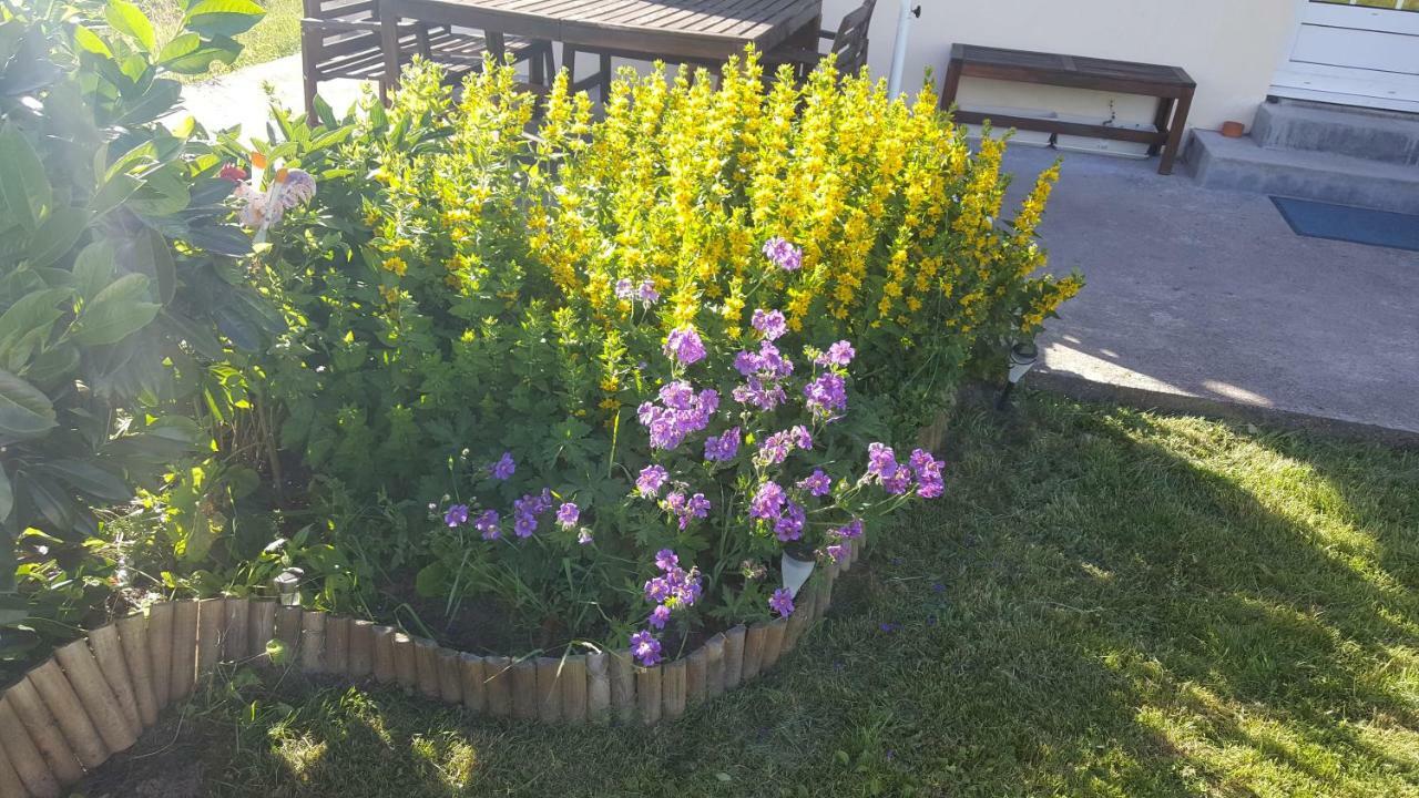 Gite Noa Xonrupt-Longemer Esterno foto